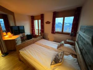 a bedroom with a bed and a tv and windows at Hôtel Magrappé in Veysonnaz