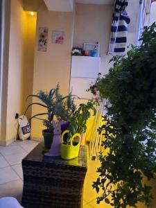 a room with potted plants on a table at Sweet Cozy Apartment in Skopje