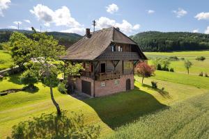 an overhead view of a house in a field at Ferienhaus Charlotte in Zell am Harmersbach