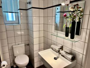 La salle de bains est pourvue de toilettes, d'un lavabo et d'un miroir. dans l'établissement Atemberaubender Rheinblick Messe, à Düsseldorf