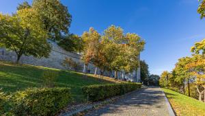Vonkajšia záhrada v ubytovaní Castle Vista Getaway, Free Parking