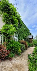 een huis is bedekt met planten en bloemen bij Kingsley Cottage B & B in Beaworthy