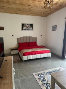 Postel nebo postele na pokoji v ubytování Qyteza Guest House & Camping
