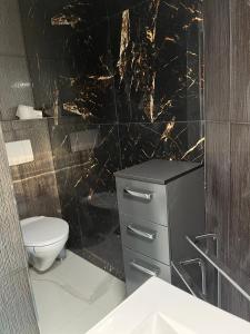 baño con aseo y pared de mármol negro en Guest room 1 en Quickborn