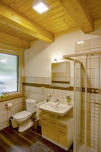 un bagno con un water e un lavandino di Chaty Dvořiště a Lomnice nad Lužnicí