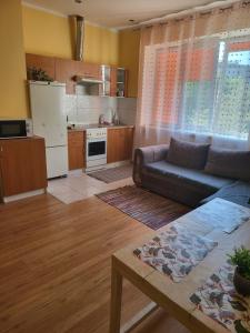 sala de estar con sofá y cocina en Giedres apartaments-Alkava, en Kaunas