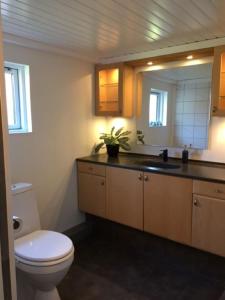 bagno con servizi igienici, lavandino e specchio di Motel Villa Søndervang 3 personers værelse a Harndrup
