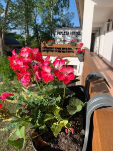 garnek czerwonych kwiatów siedzący na ławce w obiekcie Puszta Hotel w mieście Berekfürdő