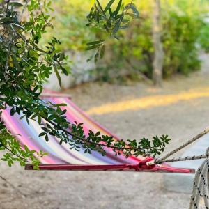 a pink and white hammock tied to a tree at Sylvia's house at Vagia in Vaia