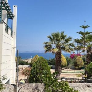 a palm tree in a garden next to a building at Sylvia's house at Vagia in Vaia