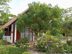Zahrada ubytování Passi Nature Villas Passikudah