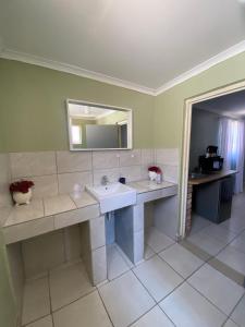 a bathroom with a sink and a mirror at Inecia's B & B in Uis