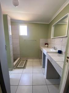 a bathroom with a shower and a sink and a mirror at Inecia's B & B in Uis