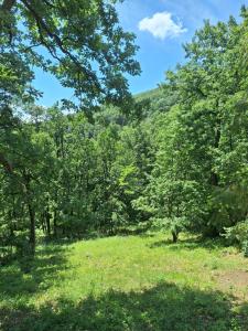 Paesaggio naturale nelle vicinanze della casa vacanze