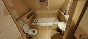 a small bathroom with a toilet and a sink at Parrot district apartments in Nové Zámky +16 photos