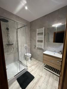 Un baño con ducha, inodoro y lavabo. en Lia House, en Brasov