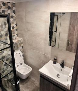 a bathroom with a toilet and a sink at Ponti Bay Apartments in Vasiliki