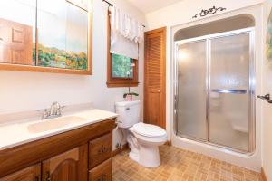 a bathroom with a toilet and a sink and a shower at Old Chestnut Cabin at Lake Junaluska in Waynesville +30 photos