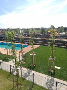 夏諾查特的住宿－Uroczy Apartament Happy 31 - bez limitu Netflix，一群树在泳池旁的田野里
