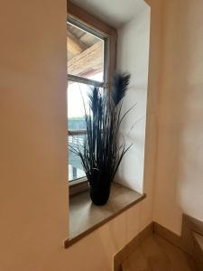 Gallery image of Stay Nice Apartments Dorfen Nähe München Jacuzzi Grillkota 75 Zoll TV in Dorfen +217 photos