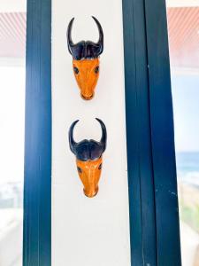 a pair of antelope heads hanging on a wall at Résidence Théa in Dakar