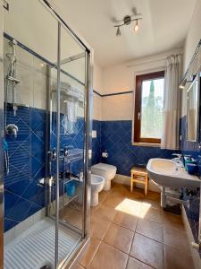 a blue bathroom with a shower and a sink at Relais Piano Valle in Pollutri