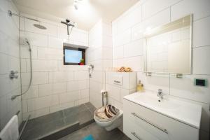 La salle de bains est pourvue de toilettes, d'un lavabo et d'une douche. dans l'établissement Höri Nest - Wohlfühl Appartement, à Gaienhofen