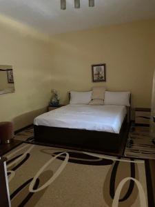 a bedroom with a large bed in a room at Boris House 5 bed Villa & Private Pool in Strumyani +55 photos