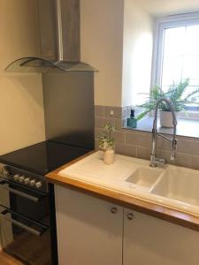 eine Küche mit einer Spüle und einer Arbeitsplatte in der Unterkunft Large 3 bedroom flat in Sennen in Penzance