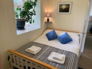 una camera da letto con un letto con cuscini blu e una pianta di Large 3 bedroom flat in Sennen a Penzance