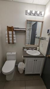 a bathroom with a toilet and a sink and a mirror at Motel Gentilhommière in Saint-Siméon