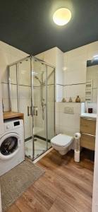 ein Badezimmer mit einer Dusche, einem WC und einer Waschmaschine in der Unterkunft Le Juanais Côte d'Azur - parking privé in Juan-les-Pins