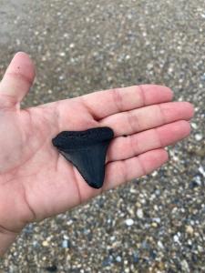una persona che tiene un oggetto nero in mano di Lil'TipSea on Topsail - Close to the sound and beach! a Topsail Beach