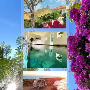 un collage de photos d'une piscine et de fleurs dans l'établissement La Jabotte Boutique Hotel, à Antibes