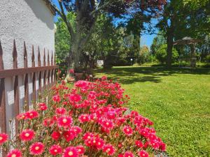 Zahrada ubytování Casa Fleurdelys Toscana