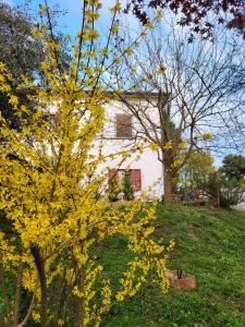 Zahrada ubytování Casa Fleurdelys Toscana