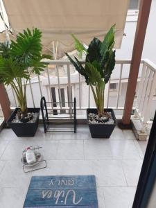 een veranda met potplanten en een tapijt op de vloer bij Nelly's Private Resindence in Chania