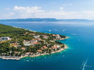 an aerial view of a small island in the water at Apartment Gaia in Labin
