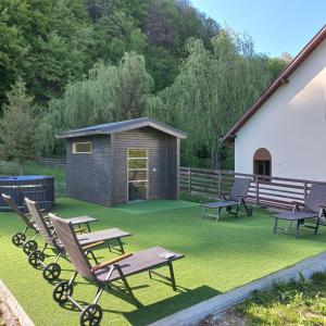 Un patio trasero con una mesa de picnic y un cobertizo. en Loja Montana, en Marginea