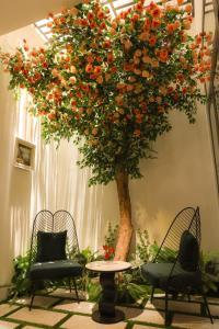 a tree with two chairs and a table in front of it at Lanura Saigon Boutique Hotel in Ho Chi Minh City