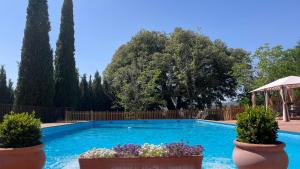 una piscina con 2 macetas y un cenador en Finca Rural La Calderera en Valdepeñas de Jaén