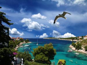 a bird flying over a body of water with boats at Vila Bilo in Primošten