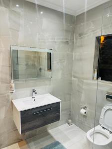 a bathroom with a sink and a toilet and a mirror at Icebolethu Guest House in Standerton