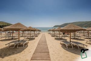 HOTIDAY Hotel Isola D'Elba في لاكونا: صف من مظلات القش والكراسي على الشاطئ