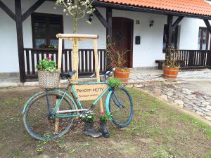 Jízda na kole v ubytování Holiday Home Huty by Interhome nebo okolí