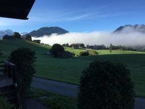 Blick auf ein grünes Feld mit Nebel in der Ferne in der Unterkunft Apartment Aerneli- Chalet by Interhome in Gstaad