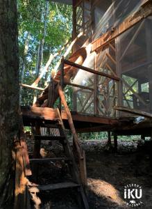 Gallery image of Reserva Îkü Amazonas in Leticia