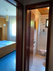 1 dormitorio con 1 cama y baño con ducha. en Gasthaus "Zur frischen Quelle", en Laubach