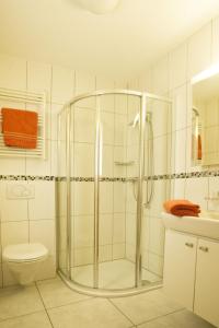 y baño con ducha y aseo. en Apartment Iris A-3 by Interhome, en Leukerbad