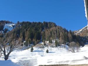 Příroda nedaleko apartmánu + 6 fotografií